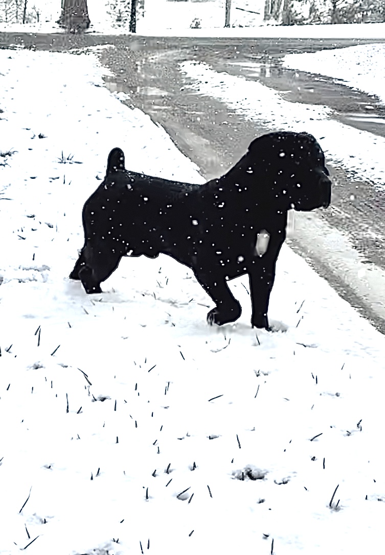 Allen’s Virginia Nitro 